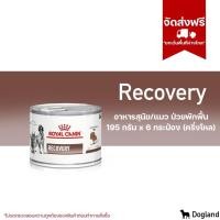 ราคา Royal Canin Recovery อาหารสัตว์ป่วย พักฟื้น (22011898678)