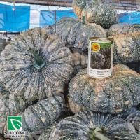 ราคา เมล็ดฟักทองลายข้าวตอก ทิพย์ทอง ขนาด 100 กรัม (21404006754)