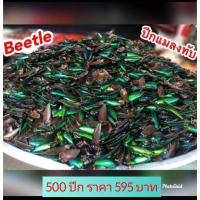 ราคา ปีกแมลงทับ ปีกจริง (14671696439)