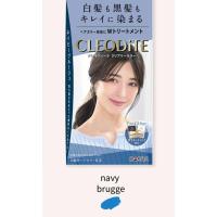 ราคา Emulsion ปิดผมขาวสีแฟชั่น CLEODITE จาก Dariya พร้อมส่วนผสมบำรุง ไม่ทำให้ผมเสีย ยาย้อมผมจากญี่ปุ่น ย้อมสีผมสวย สีผมติดชัด (22207381985)