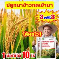 ราคา ผลผลิตข้าว200เท่า ฮอร์โมนพืชข้าว 1ฟรี1 ฮอร์โมนข้าว 1ห่อใช้ได้10ไร่ เร่งเต่งข้าว ข้าวโตรวดเร็ว ฮอร์โมนฉีดข้าว เมล็ดข้าวมีกลิ่นหอมมากขึ้น ฮอร์โมนบำรุงข้าว ฮอโมนข้าวท้อง ปุ๋ยเกล็ดทางใบ ปุ๋ยทางใบข้าว (225