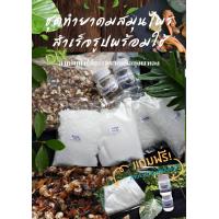 ราคา ชุดทำยาดมสมุนไพรสำเร็จรูปพร้อมใช้ ยาดมสมุนไพร DIY ของแจก ของชำร่วย ของชำร่วยทำเอง สมุนไพรหอม (22433556456)