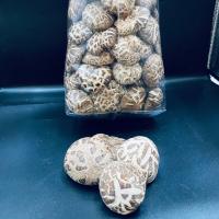 ราคา เห็ดหอมญี่ปุ่น 日本花菇 500g พร้อมส่ง เห็ดหอมญี่ปุ่นแท้ เนื้อแน่นกลิ่นหอม คัดเกรดคุณภาพ (4074664560)