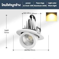 ราคา ดาวน์ไลท์ฝังฝ้า โคมไฟเพดาน แสงวอร์ม สปอตไลท์ ไฟประดับ ได้อย่างยืดหยุ่นโคม ตกแต่งร้าน ปอตไลท์สำ หรับร้านขายเสื้อผ้า ไฟเพดาน (22624222300)