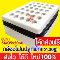 ราคา ค่าส่งถูก ชุดทดลองปลูกผักไฮโดร ชุดทดลองปลูกผักไร้ดิน ชุดปลูกผัก ชุดปลูก ผักไฮโดรโปนิกส์ ผักไฮโดร ผักไร้ดิน ปลูกผักน้ำนิ่ง กล่องโฟม (18915821687)
