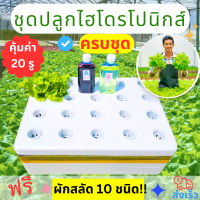 ราคา ชุดปลูกไฮโดรโปนิกส์ ครบชุด ถูกที่สุด179บ กล่องโฟมปลูกผักไฮโดรโปนิกส์ ทุกระบบ ผักสลัด ผักไทย ปุ๋ยไฮโดรโปนิกส์ (22551900467)