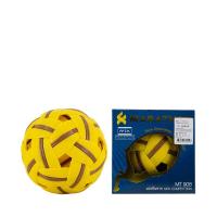 ราคา FBT ตะกร้อรุ่นแข่งขันนานาชาติ ชาย กีฬาตะกร้อ รุ่น MT908 70519 (20541819785)