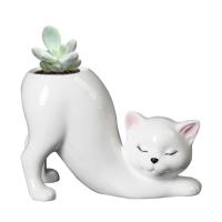 ราคา กระถางปลกตนไมแมว กระถางตนไมนารก แมวนารกหมอ MINI Succulent Kittyหมอนารกดอกไมหมอสำหรบพชในรม cat Decorแจกนสำหรบกระบองเพชร ทไมซำกนของขวญ fashion (21034461048)