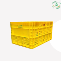 ราคา ลังพลาสติก เกรดA ลังผลไม้ ขนาด 37x55 5x30 5cm ลังพลาสติก ลังโปร่ง ลังอุตสาหกรรม ตะกร้าพลาสติก เข้าห้องเย็นได้ (20918144789)