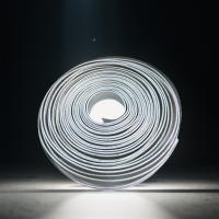 ราคา ลวดอลูมิเนียมแบน ลวดแบน ลวดแบนมิเนียม ลวดแบนรัดสายไฟ ลวดแบนไฟฟ้า ความยาว 3 เมตร 5 เมตร 10 เมตร (22025664397)