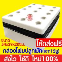 ราคา ค่าส่งถูก ชุดทดลองปลูกผักไฮโดร ชุดทดลองปลูกผักไร้ดิน ชุดปลูกผัก ชุดปลูก ผักไฮโดรโปนิกส์ ผักไฮโดร ผักไร้ดิน ปลูกผักน้ำนิ่ง กล่องโฟม (18915821586)