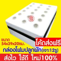 ราคา ค่าส่งถูก ชุดทดลองปลูกผักไฮโดร ชุดทดลองปลูกผักไร้ดิน ชุดปลูกผัก ชุดปลูก ผักไฮโดรโปนิกส์ ผักไฮโดร ผักไร้ดิน ปลูกผักน้ำนิ่ง กล่องโฟม (18915821548)