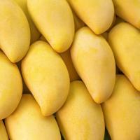 ราคา สด ใหม่ จาก ฟาร์ม ทุกวัน มะม่วงน้ำดอกไม้สุก มะม่วงน้ำดอกไม้สีทอง รับประกันความหวาน (21856891077)