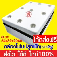 ราคา ค่าส่งถูก ชุดทดลองปลูกผักไฮโดร ชุดทดลองปลูกผักไร้ดิน ชุดปลูกผัก ชุดปลูก ผักไฮโดรโปนิกส์ ผักไฮโดร ผักไร้ดิน ปลูกผักน้ำนิ่ง กล่องโฟม (18915821524)
