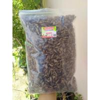 ราคา สะดิ้งอบแห้ง1kg อาหารแฮมส์เตอร์ อาหารชูก้า เม่นแคระ และสัตว์กินแมลงทุกชนิด อาหารเสริมโปรตีนสูง หอมอร่อย (20294239646)
