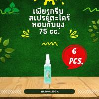 ราคา Pure Green เพียวกรีน สเปรย์กันยุงตะไคร้หอม ขนาด 75 cc บรรจุ 6 ขวด (563426465)