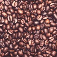 ราคา กาแฟ Extra blends หอม เข้ม คั่วกลาง 250 กรัม (11756716089)