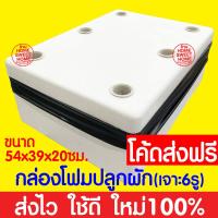ราคา ค่าส่งถูก ชุดทดลองปลูกผักไฮโดร ชุดทดลองปลูกผักไร้ดิน ชุดปลูกผัก ชุดปลูก ผักไฮโดรโปนิกส์ ผักไฮโดร ผักไร้ดิน ปลูกผักน้ำนิ่ง กล่องโฟม (18915821461)