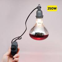 ราคา หลอดไฟอินฟาเรด หลอดไฟกกลูกไก่ กกลูกหมู กกสัตว์ กกนก 100W 150W 175W 200 250W ให้ความอบอุ่นสัตว์เล็ก (22566205336)