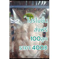 ราคา ลูกแป้งข้าวหมากลูกแป้งสาโท (22269624349)