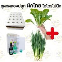 ราคา ชุดปลูก ชุดปลูกผักไทยและผักสลัด ชุดปลูกผักไฮโดร และอุปกรณ์ยกชุด เลือกเมล็ดผักเองได้ (22180070431)