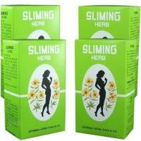 ราคา ชา SLIMING HERB 4 กล่อง ชาชงสมุนไพร กระตุ้นระบบขับถ่าย สลายไขมัน ลดหน้าท้อง ดีท็อกซ์ลำไส้ พร้อมส่งทันที สินค้าผลิตใหม่ (22288700254)