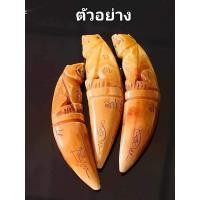 ราคา เขี้ยวหมูป่าแกะ เสือนั่งแท่น หลวงปู่คีบ ธีรปัญโญ วัดป่าสุทธาวาส จ นครพนม (21891316251)