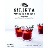 ราคา เมล็ดกาแฟคั่วอ่อน Sirinya Amarone Process ดอยช้าง 100g 200g (22420549058)