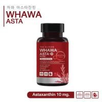 ราคา Astaxanthin 10 mg แอสต้าแซนทีน สาหร่ายแดง ต้านอนุมูล 30ซอฟเจล (22578616950)