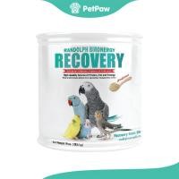 ราคา Randolph Birdnergy Recovery อาหารฟืนฟูสำหรับนกป่วย 283g (21650195697)