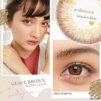 ราคา คอนแทคเลนส์ Glace Brown Neo Cosmo รายเดือน สีน้ำตาลประกายทอง ขนาด mini ใส่จริงสวย ใส่ถ่ายรูปสวยมาก (1169612639)