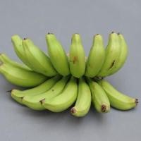 ราคา หน่อกล้วย พันธุ์ กล้วยหอมจันทน์ หน่อใหญ๋ แข็งแรง พร้อมปลูก ลำต้นสูง 80 100ซม (20986639374)