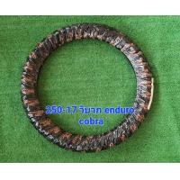 ราคา ยางนอกวิบาก2 50 17 2 25 17 ลายenduro ยี่ห้อcobra ยางวิบากขอบ17 2 50 17วิบาก ยางนอกวิบาก วิบาก2 25 17 (22433556579)