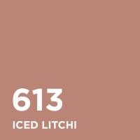 ราคา ลอรีอัล ปารีส คัลเลอร์ ริช อินเทนซ์ วอลุ่ม แมท เบอร์ 613 Iced Litchi L OREAL PARIS COLOR RICHE INTENSE VOLUME MATTE (21971109771)