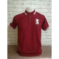 ราคา เสื้อโปโลชาย ปักลายสิงห์ใหญ่ เนื้อผ้าใส่สบาย ระบายอากาศได้ดี งานสวย เสื้อโปโล เสื้อผู้ชาย (1709940335)