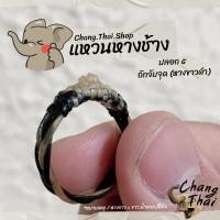 ราคา แหวนหางช้าง ปลอก 5 ถักจับจุด หางขาวดำ ของแท้ 100 (13701376276)