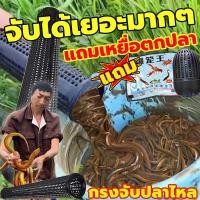 ราคา ใช้ได้ 30 ปี ที่ดักปลาไหล ยาว เบา ปลาไหลเข้าดี บั้งลันสมัยใหม่ 1 ชิ้น พลาสติกเกรดA ทนทานเหนียว เบา พกพาง่าย ทันสมัย ใช้งานได้นาน จู้ดักปลาไหล อิจู้ดักปลาไหล ตุ้มดักปลาไหล กรงดักปลา กรงตาข่ายดักปลา กร 