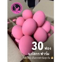 ราคา ไข่เยี่ยวม้า ปลอดสารพิษ สดใหม่ อร่อย (22223882764)