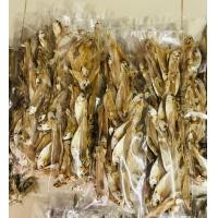 ราคา ปลาเกร็ดขาว ปลาเกร็ดขาวตากแห้ง ปลาแห้ง อาหารทะเลตากแห้ง น้ำหนัก 1 กิโลกรัม ปลาซิว ปลากะตักขาว (21011090958)
