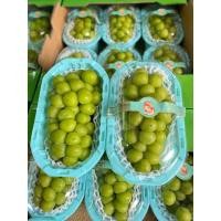 ราคา องุ่นไซมัสคัส ช่อใหญ่1000g (22682394032)