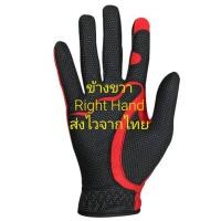 ราคา ถุงมือกอล์ฟข้างขวา Right Hand FIT39 EX (21993413613)