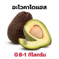 ราคา ส่งฟรีไม่ต้องใช้โค้ด อะโวคาโด 034 Booth 7 อะโวคาโดสด อโวคาโด้ เกรดพรีเมี่ยม 0 9 1 กิโลกรัม สายพันธุ์ที่อร่อยที่สุด สดใหม่ ส่งตรงจารสวน เกรดนำเข้า (22681614583)