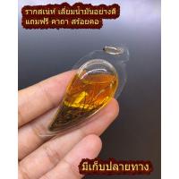 ราคา จี้ ว่านดอกทอง ว่านราคะ ว่านมหาสเน่ห์ ตะกรุด เลี่ยมน้ำมันทรงหยดน้ำ มหาสเน่ห์ สเน่ห์ เมตตา ค้าขายดี วัดบ้านจาน ฟรี สร้อยพระ ฟรีผ้ายันต์ คาถาบูชา สร้อยข้อมือ เสริมสิริมงคล ครูบาบุญชุ่ม (21461797068)