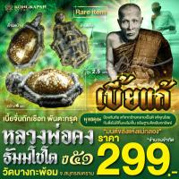 ราคา เบี้ยแก้ หลวงพ่อคง พ ศ 2551 วัดบางกะพ้อม จ สมุทรสงคราม (22589065946)