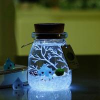 ราคา M Ting มาริโมะ เซ็ตมาริโมะโหลกลม ชุดพร้อมเลี้ยงมาริโมะ marimo มอสบอล ชุดพร้อมเลี้ยงมาริโมะแท้ (22427161389)