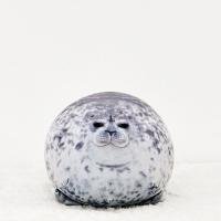 ราคา Moon night J Chubby Blob Seal Plush Animal Toy Cute Ocean Pillow Pet Stuffed Doll Kids Gift my (20961922007)