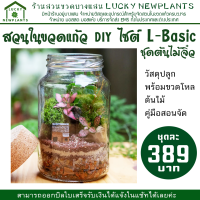 ราคา ชุดจัดสวนขวด DIYชุดจัดสวนในขวดแก้ว ไซต์ L Basic 389 บาท (22288705845)