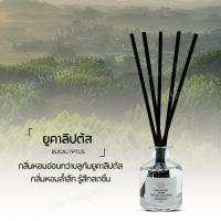 ราคา กลิ่นโรงแรมหรู ก้านน้ำหอม ก้านไม้หอม Reed Diffuser น้ำหอมอโรม่า น้ำมันหอมระเหย ก้านหอม ก้านไม้หอมปรับอากาศ 50มล (22369726720)