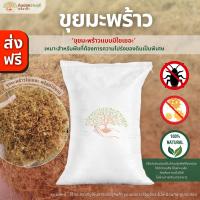 ราคา ส่งฟรี ขุยมะพร้าวใยเยอะ จำนวน 1 กระสอบ น้ำหนัก 10 12 kg ขุยละเอียดแบบมีใยเยอะ ช่วยให้ดินโปร่ง จัดส่ง 3 5 วัน ทำการ (22534650938)