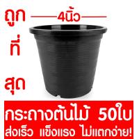 ราคา กระถางต้นไม้ กระถางพลาสติก ขนาด 4 นิ้ว 50ใบ กระถางกลม กระถางต้นไม้พลาสติก กระถางปลูกต้นไม้ กระถางดำ กระถางพลาสติกดำ Flower pot (2067510524)